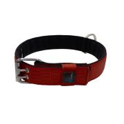 Polyamide Dog Collar with Triple Webbing and 5 cm Neoprene – KI01005/65/50/DR/01