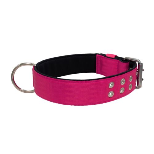 Polyamide Dog Collar with Triple Webbing and 5 cm Neoprene – KI01005/65/50/FU/01