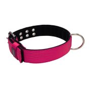 Polyamide Dog Collar with Triple Webbing and 5 cm Neoprene – KI01005/65/50/FU/01
