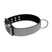 Polyamide Dog Collar with Triple Webbing and 5 cm Neoprene – KI01005/65/50/GY/01