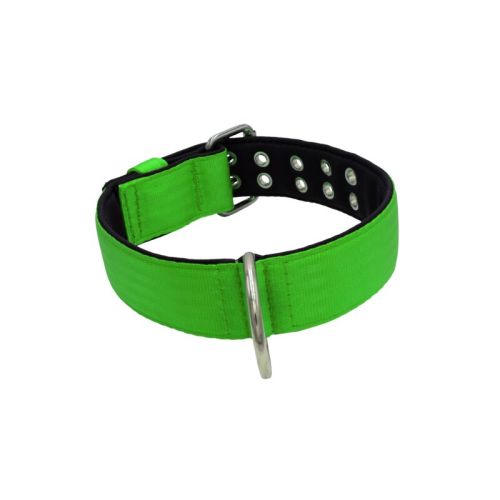 Polyamide Dog Collar with Triple Webbing and 5 cm Neoprene – KI01005/65/50/LM/01