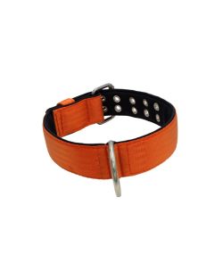 Collar de perro de poliamida con triple correa y 5 cm de neopreno - KI01005/65/50/OR/01