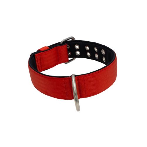 Polyamide Dog Collar with Triple Webbing and 5 cm Neoprene – KI01005/65/50/RD/01