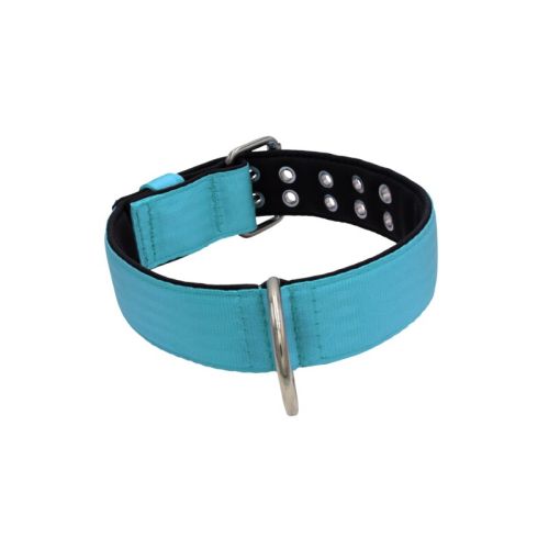 Polyamide Dog Collar with Triple Webbing and 5 cm Neoprene – KI01005/65/50/TU/01