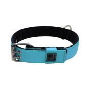 Polyamide Dog Collar with Triple Webbing and 5 cm Neoprene – KI01005/65/50/TU/01