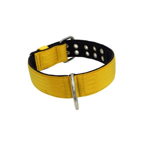 Polyamide Dog Collar with Triple Webbing and 5 cm Neoprene – KI01005/65/50/YL/01