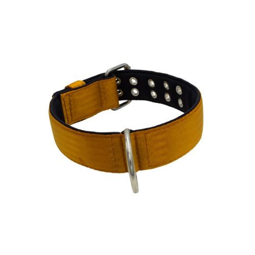 Polyamide Dog Collar with Triple Webbing and 5 cm Neoprene – KI01005/70/50/BR/01