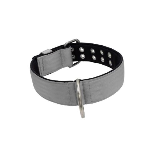 Polyamide Dog Collar with Triple Webbing and 5 cm Neoprene – KI01005/70/50/GY/01
