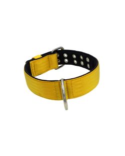 Collar de perro de poliamida con triple correa y 5 cm de neopreno - KI01005/70/50/YL/01