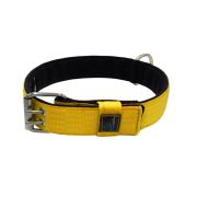 Polyamide Dog Collar with Triple Webbing and 5 cm Neoprene – KI01005/70/50/YL/01