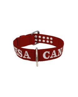 Dog Collar from Polyamide with Triple Strap and Embroidery, 5cm - KI01006/65/50/DR/00