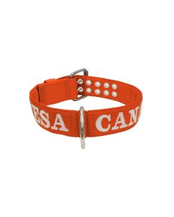 Collar de perro de poliamida con triple correa y bordado, 5cm - KI01006/70/50/OR/00