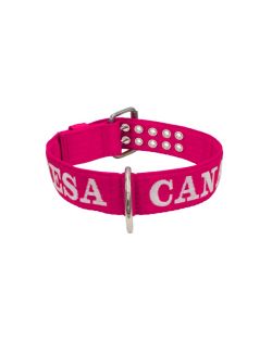 Collar de perro de poliamida con triple correa y bordado, 5cm - KI01006/80/50/FU/00