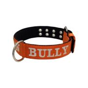 Dog Collar from Polyamide with Triple Strap, Embroidery, and Neoprene, 5cm Width – KI01007/65/50/OR/01