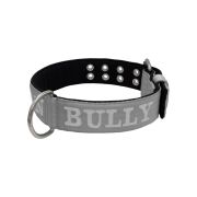 Collar de perro de poliamida con triple correa y bordado, 5cm – KI01007/70/50/GY/01