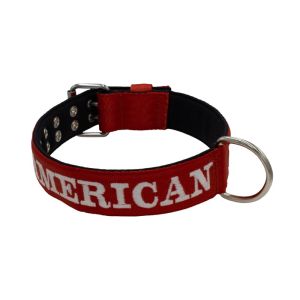 Collar de perro de poliamida con triple correa y bordado, 5cm – KI01007/75/50/DR/01