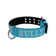 Collar de perro de poliamida con triple correa y bordado, 5cm – KI01007/75/50/TU/01