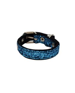 Collar de perro con tela brillante de 2,5 cm, cincha y forro de neopreno - KI01013/55/25/LB/01