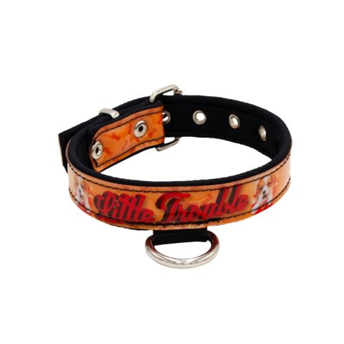 Dog Collar with Vinyl Print and Neoprene Lining – KI01016/70/40/P3/01