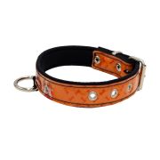 Dog Collar with Vinyl Print and Neoprene Lining – KI01016/70/40/P3/01