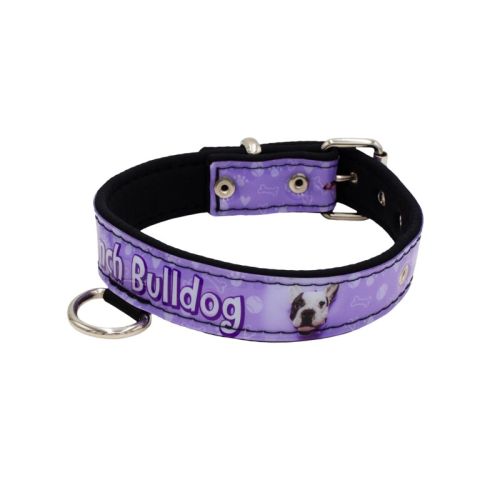 Dog Collar with Vinyl Print and Neoprene Lining (French Bulldog) – KI01017/50/30/P4/01