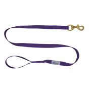 Correa de polipropileno con cincha con goma – OI01004/120/25/PR/00/K04