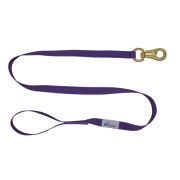 Polypropylene Leash with Woven Rubber Traces – OI01004/120/25/PR/00/K06
