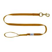 Correa guía de poliamida de 2,5 cm – OI01006/100/25/BR/00/K11