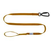Correa guía de poliamida de 2,5 cm – OI01006/100/25/BR/00/K15