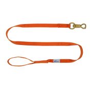 Correa guía de poliamida de 2,5 cm – OI01006/100/25/OR/00/K08