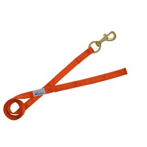 Correa guía de poliamida de 2,5 cm – OI01006/100/25/OR/00/K11