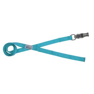 Correa guía de poliamida de 2,5 cm – OI01006/100/25/TU/00/K09