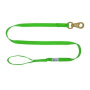 Correa guía de poliamida de 2,5 cm – OI01006/120/25/LM/00/K06