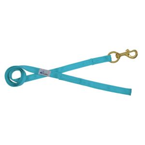 Correa guía de poliamida de 2,5 cm – OI01006/120/25/TU/00/K11