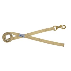 Correa guía de poliamida de 2,5 cm – OI01006/150/25/BE/00/K04