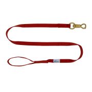 Correa guía de poliamida de 2,5 cm – OI01006/150/25/DR/00/K08