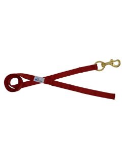 Correa guía de poliamida de 2,5 cm - OI01006/150/25/DR/00/K11