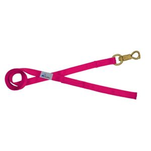 Correa guía de poliamida de 2,5 cm – OI01006/150/25/FU/00/K08