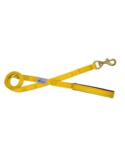 Polyamide Guide Leash and Neoprene 2.5 cm - OI01007/120/25/YL/01/K04