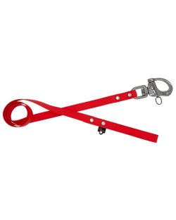 Correa impermeable para perros con celdas pequeñas - 100% resistente al agua y a las bacterias - OI01009/100/20/RD/00/K10