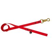 Correa impermeable para perros con celdas pequeñas – 100% resistente al agua y a las bacterias – OI01009/100/25/RD/00/K08