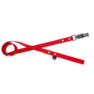 Correa impermeable para perros con celdas pequeñas – 100% resistente al agua y a las bacterias – OI01009/100/25/RD/00/K09