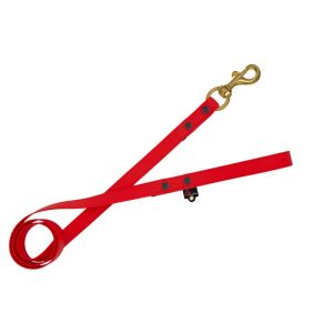 Correa impermeable para perros con celdas pequeñas – 100% resistente al agua y a las bacterias – OI01009/150/20/RD/00/K04