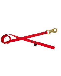 Correa impermeable para perros con celdas pequeñas - 100% resistente al agua y a las bacterias - OI01009/150/20/RD/00/K06