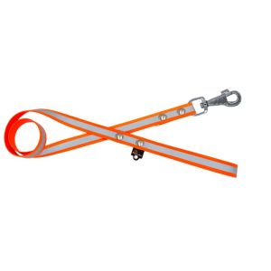 Correa impermeable de perrocreflectante – 100% resistente al agua y a las bacterias – OI01010/120/25/OR/00/K03