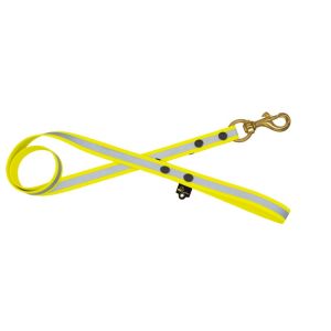 Correa impermeable de perrocreflectante – 100% resistente al agua y a las bacterias – OI01010/120/25/YL/00/K04