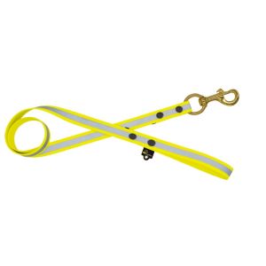 Reflective Waterproof Dog Leash – 100% Resistant to Water and Bacteria – OI01010/120/25/YL/00/K11