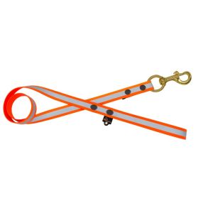 Correa impermeable de perrocreflectante – 100% resistente al agua y a las bacterias – OI01010/150/25/OR/00/K11