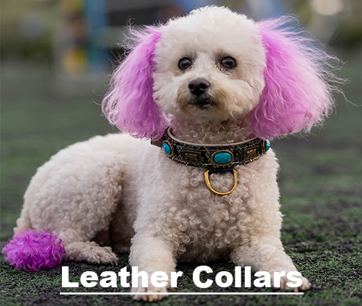 new-Leather-Collars