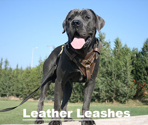 new-Leather-Leashes